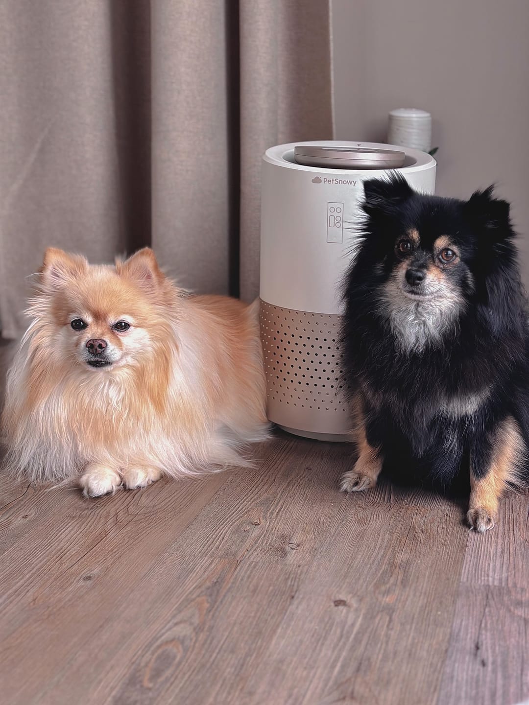 Customer photo review of Pet Air Purifier
