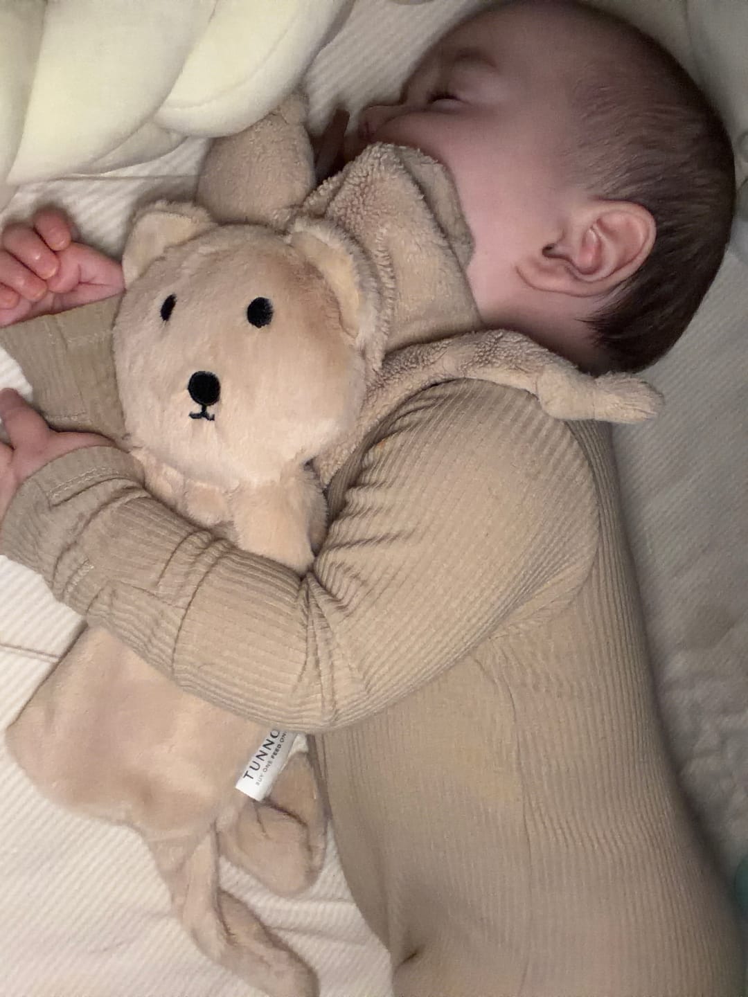 Customer photo review of Bella Tunno x Taking Cara Babies Lovey Bear