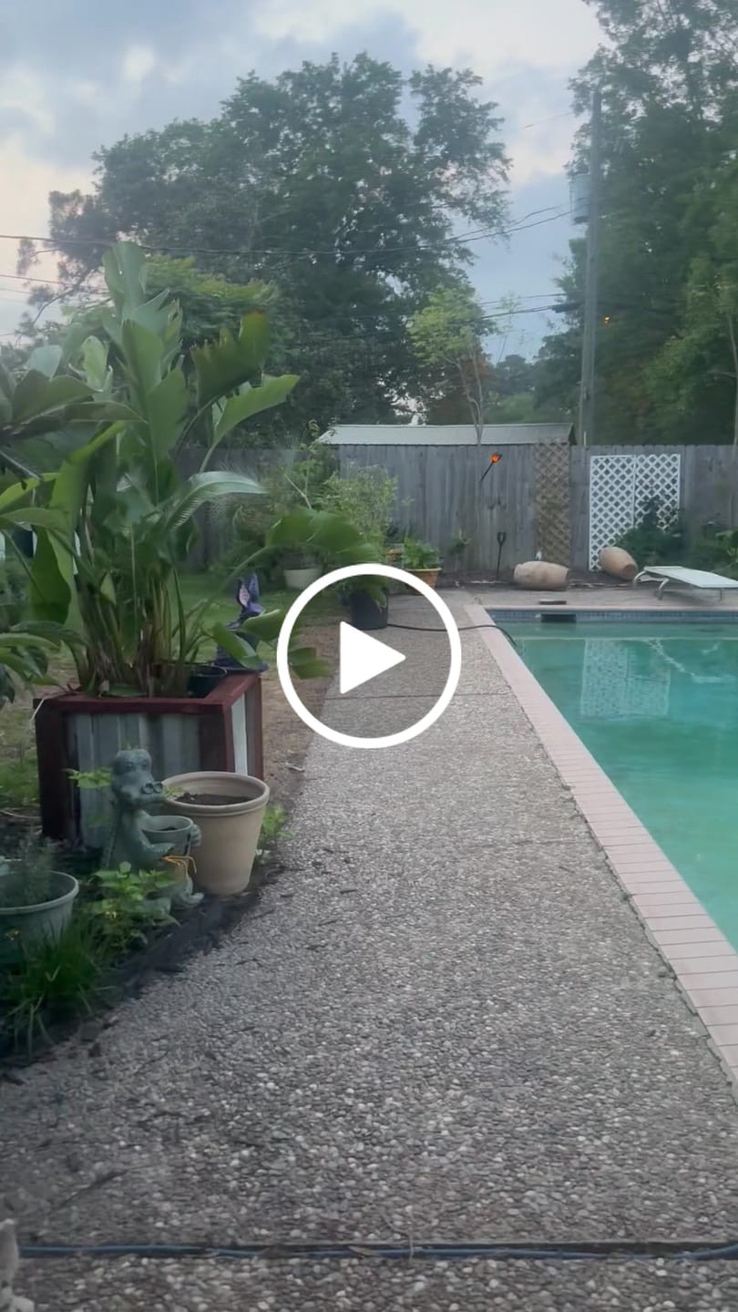 Customer video review of PURE ZEN 200MG Extract (Tropic Vibez)