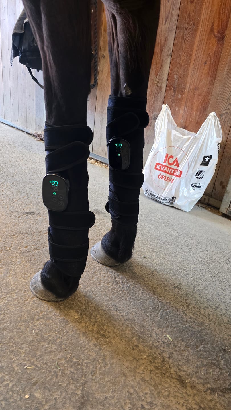 Customer photo review of EquiThera K2 - Rödljusterapi Damasker