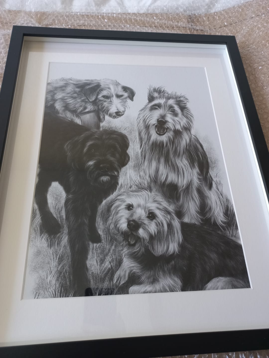 Customer photo review of Tierportraits zeichnen lassen Bleistift - Haustier malen - Personalisiertes Tierportrait