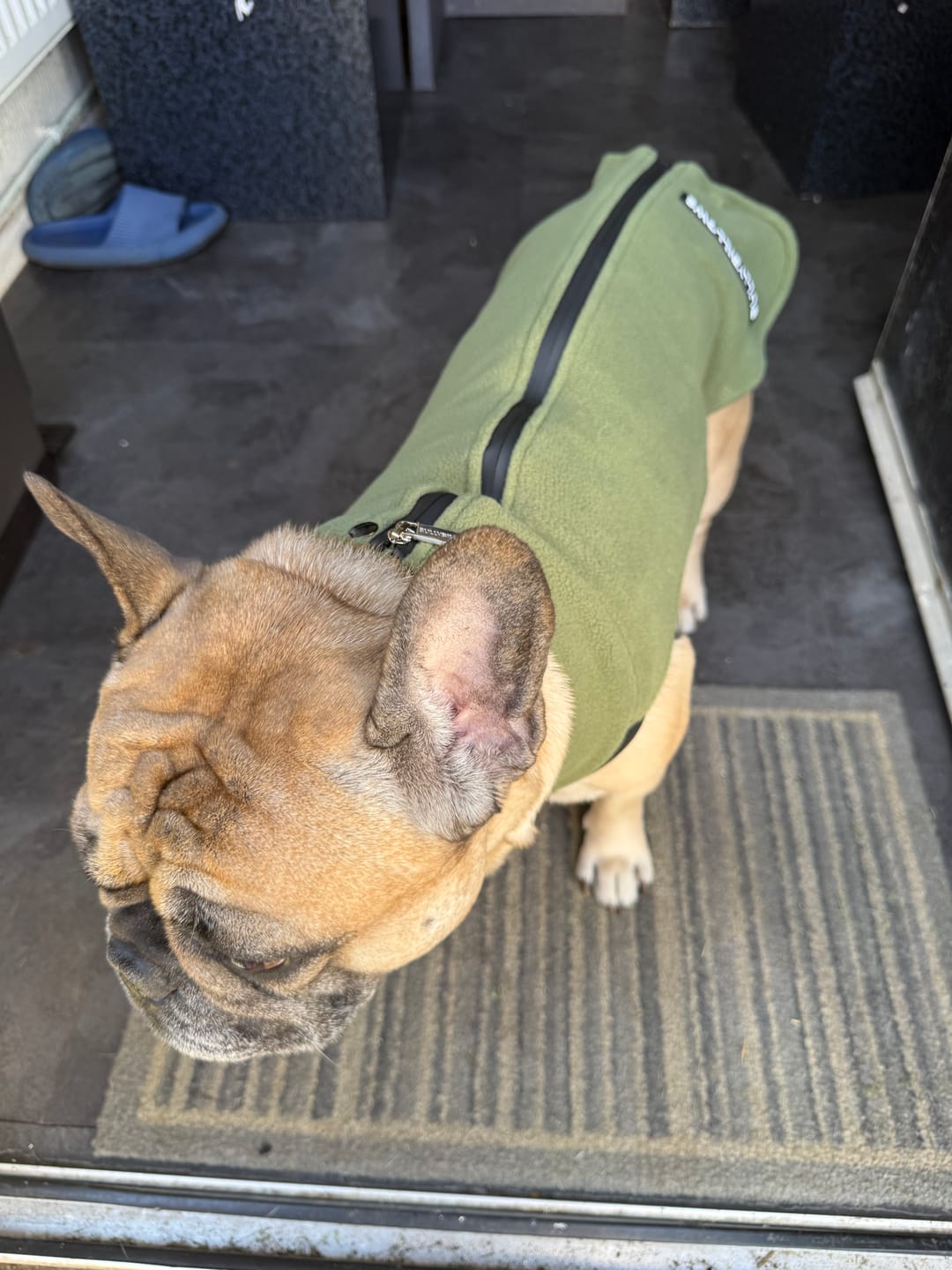 Customer photo review of Dog Fleece With Zip - Khaki
