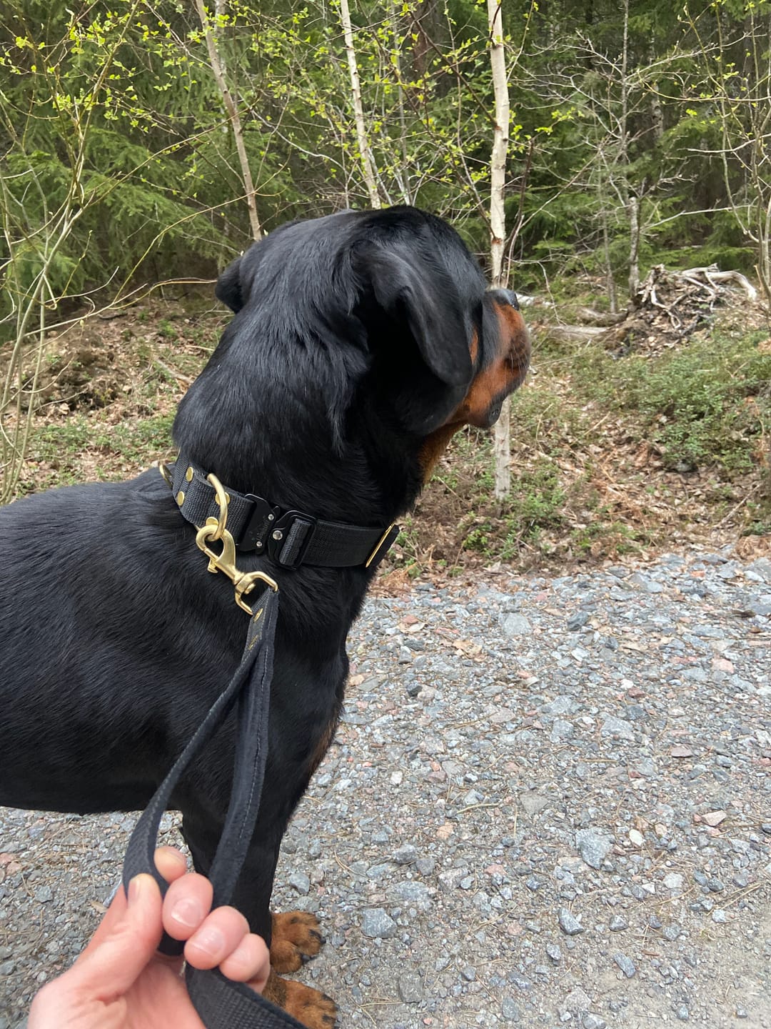 Customer photo review of Guard Leash Golden Edition Svart - Väktarkoppel med extra handtag