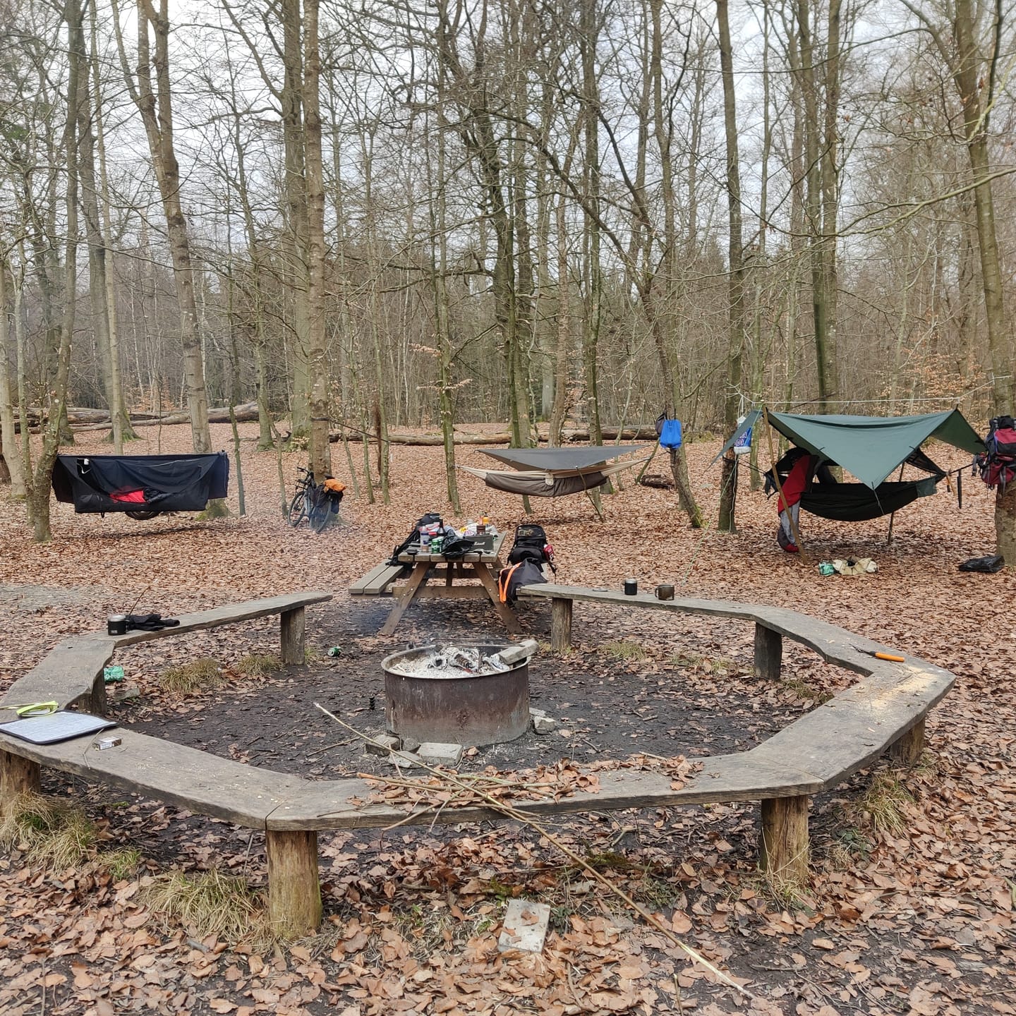Customer photo review of Haven Spectre