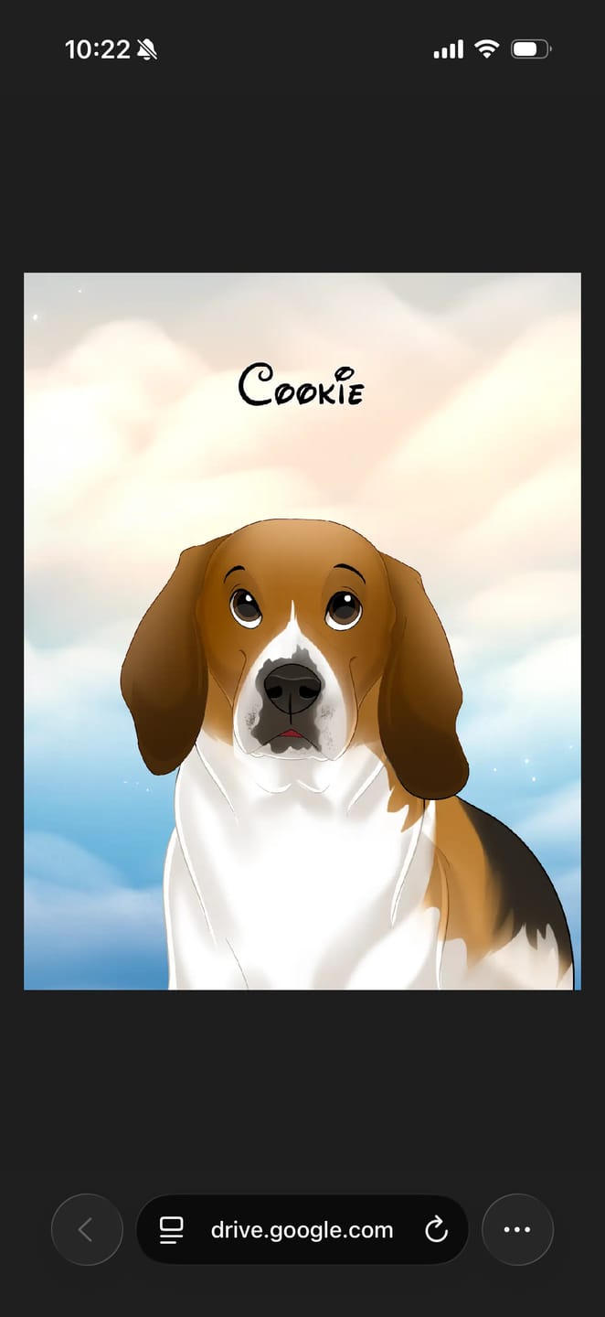Customer photo review of Custom Cartoon Art Wrapped Pet Canvas