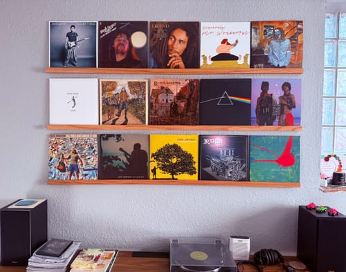 Customer photo review of Vinyl Record Display Shelf