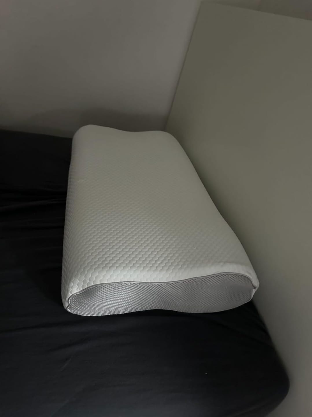 Customer photo review of Oryzom DreamHaven Komfortkissen