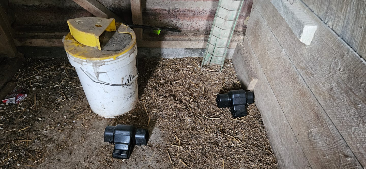 Customer photo review of Rat Killa Trap