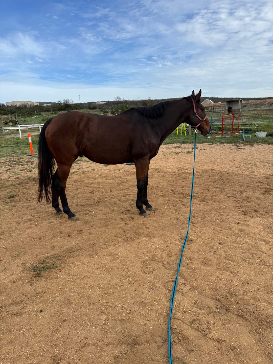 Customer photo review of Vitality+