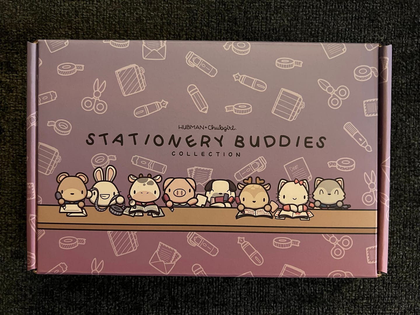 Customer photo review of Stationery Buddies Box Set