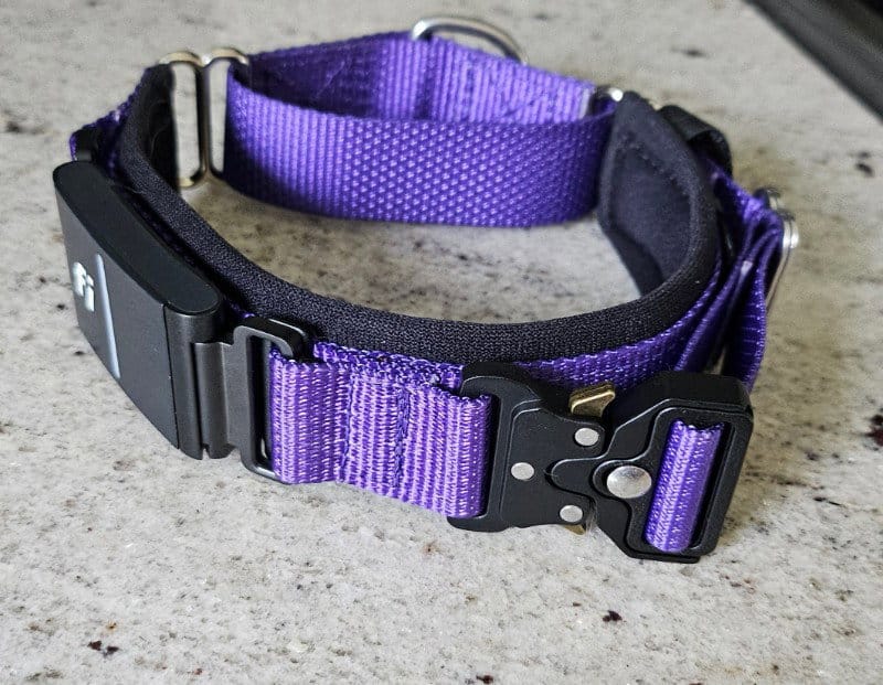 Customer photo review of FI Martingale Collar