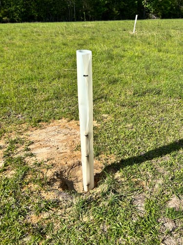 Customer photo review of Tree Pro Grow Tubes