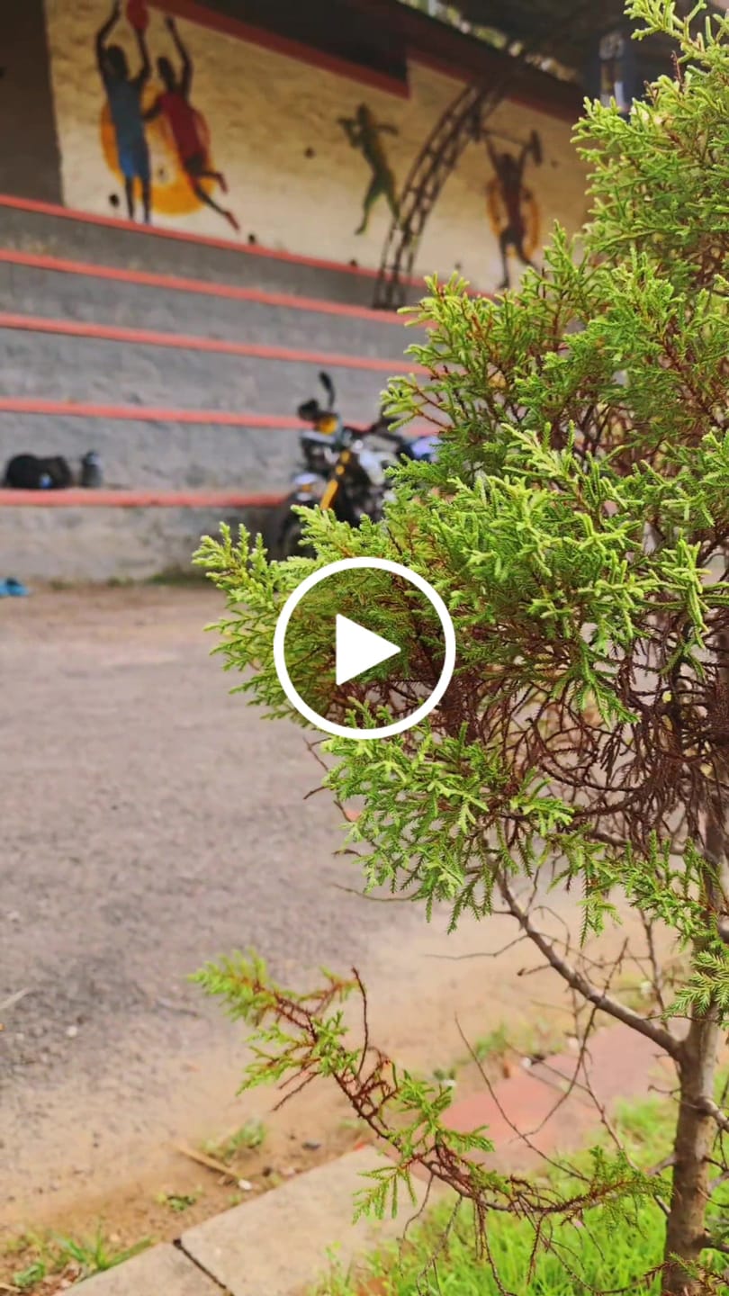 Customer video review of Scrambler Egg: Side Panel Bag For Triumph Scrambler 400X/XC