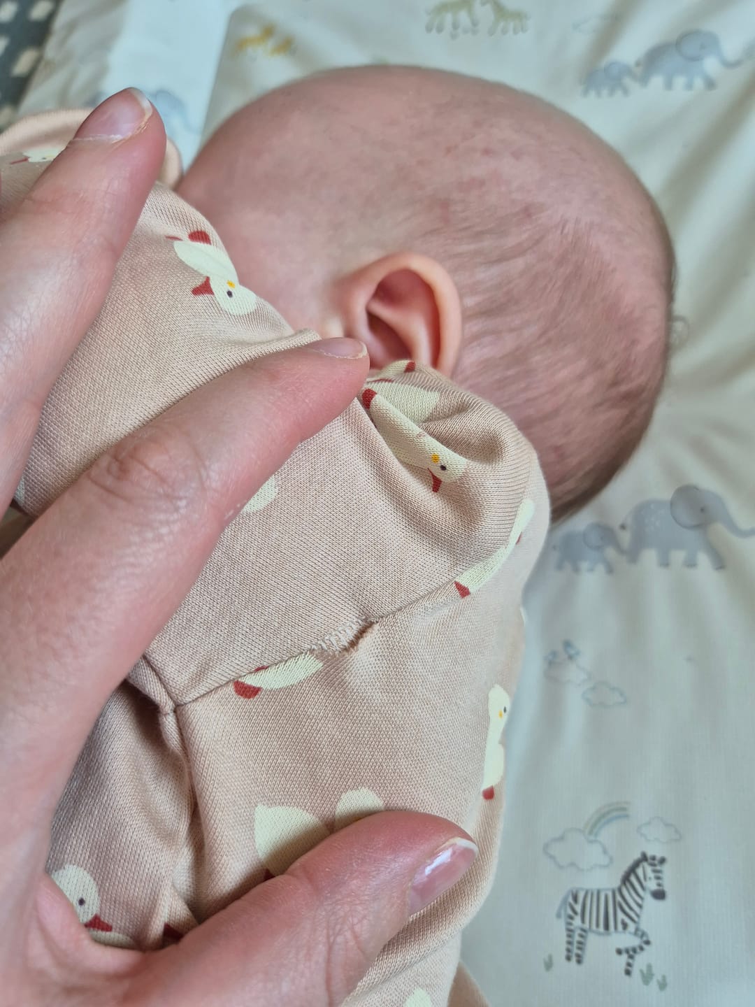 Customer photo review of Puddle Ducks Baby Bodysuit 2 Pack
