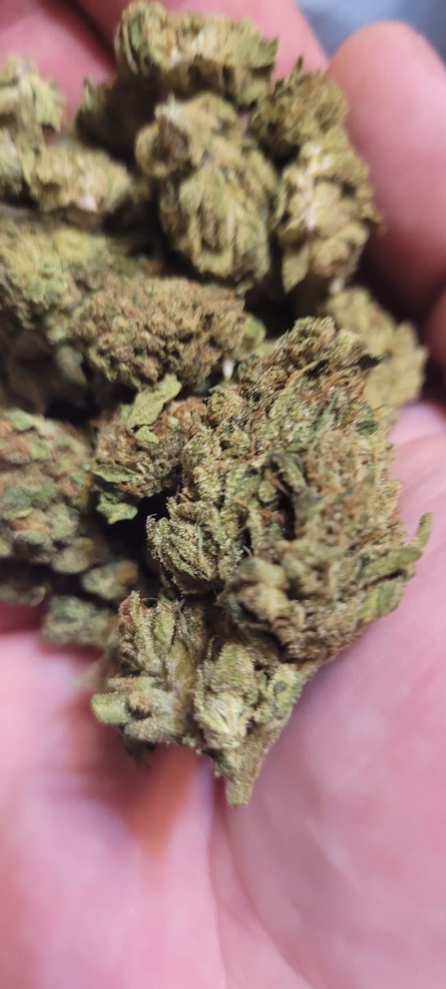 Customer photo review of Godfather OG - 28 Grams - Indica