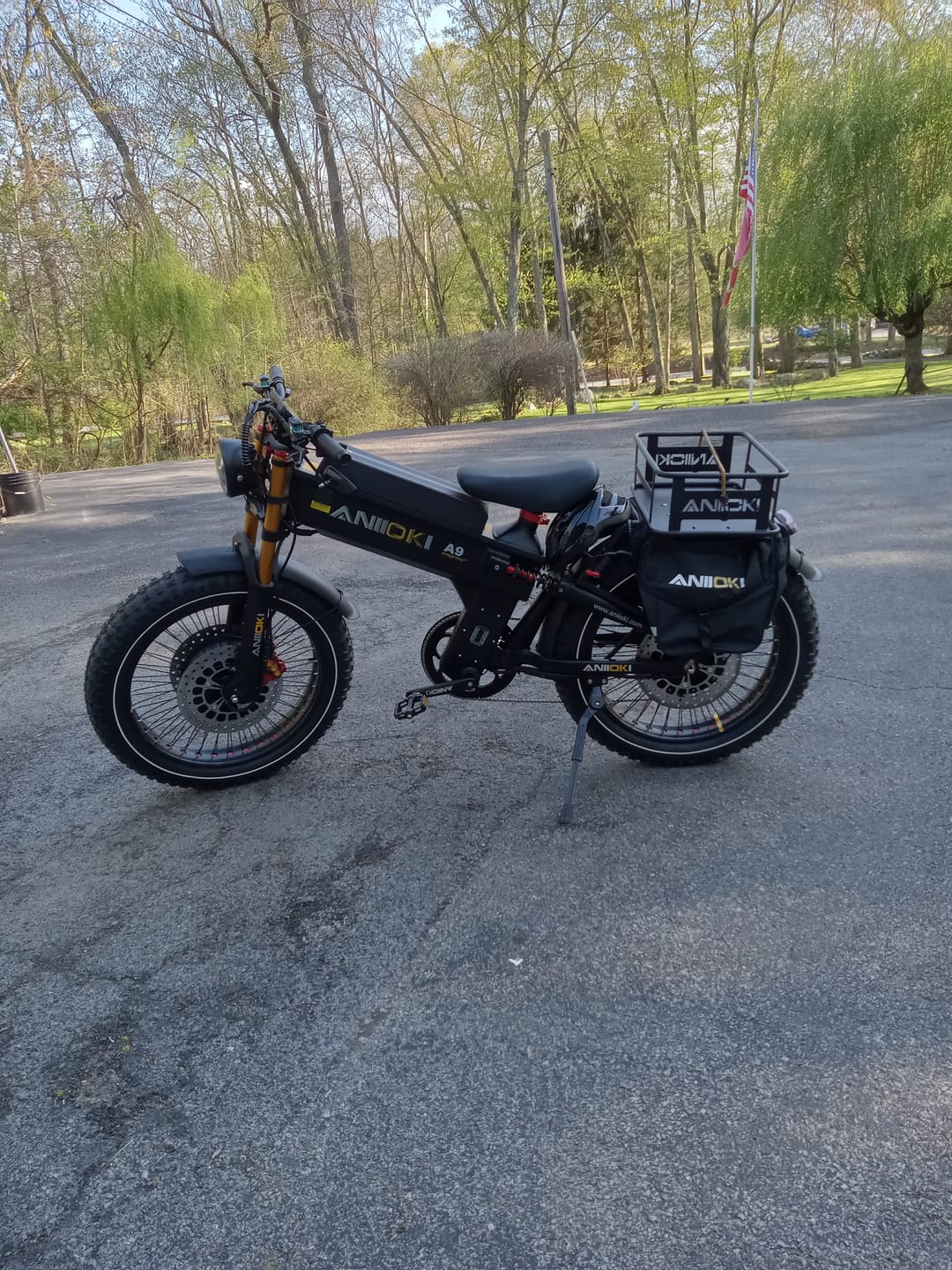 Customer photo review of ANIIOKI A9 Pro Max Dual Motor eBike