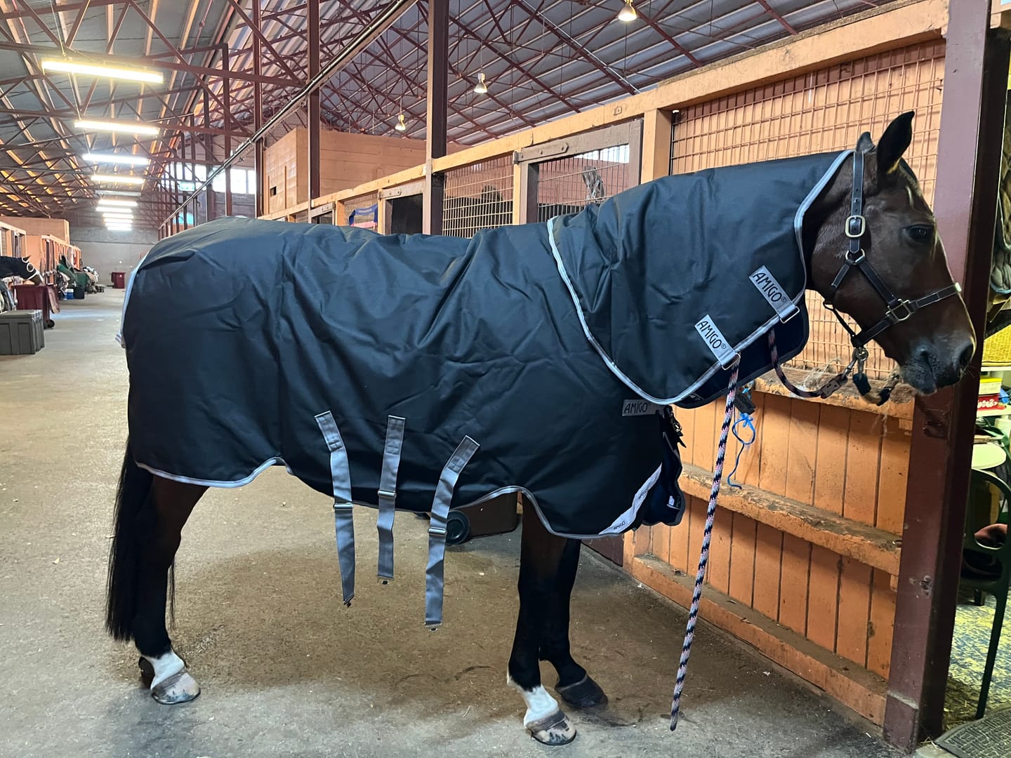 Customer photo review of Amigo 1200D Plus Turnout 250g