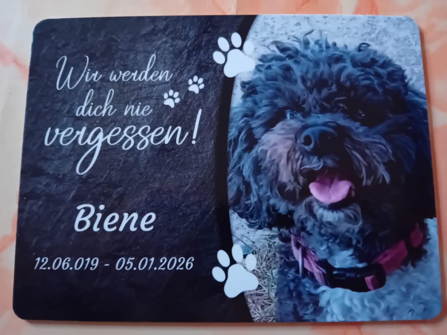 Customer photo review of Hunde Gedenktafel mit Foto & Spruch (UV- &  Wetterfest)