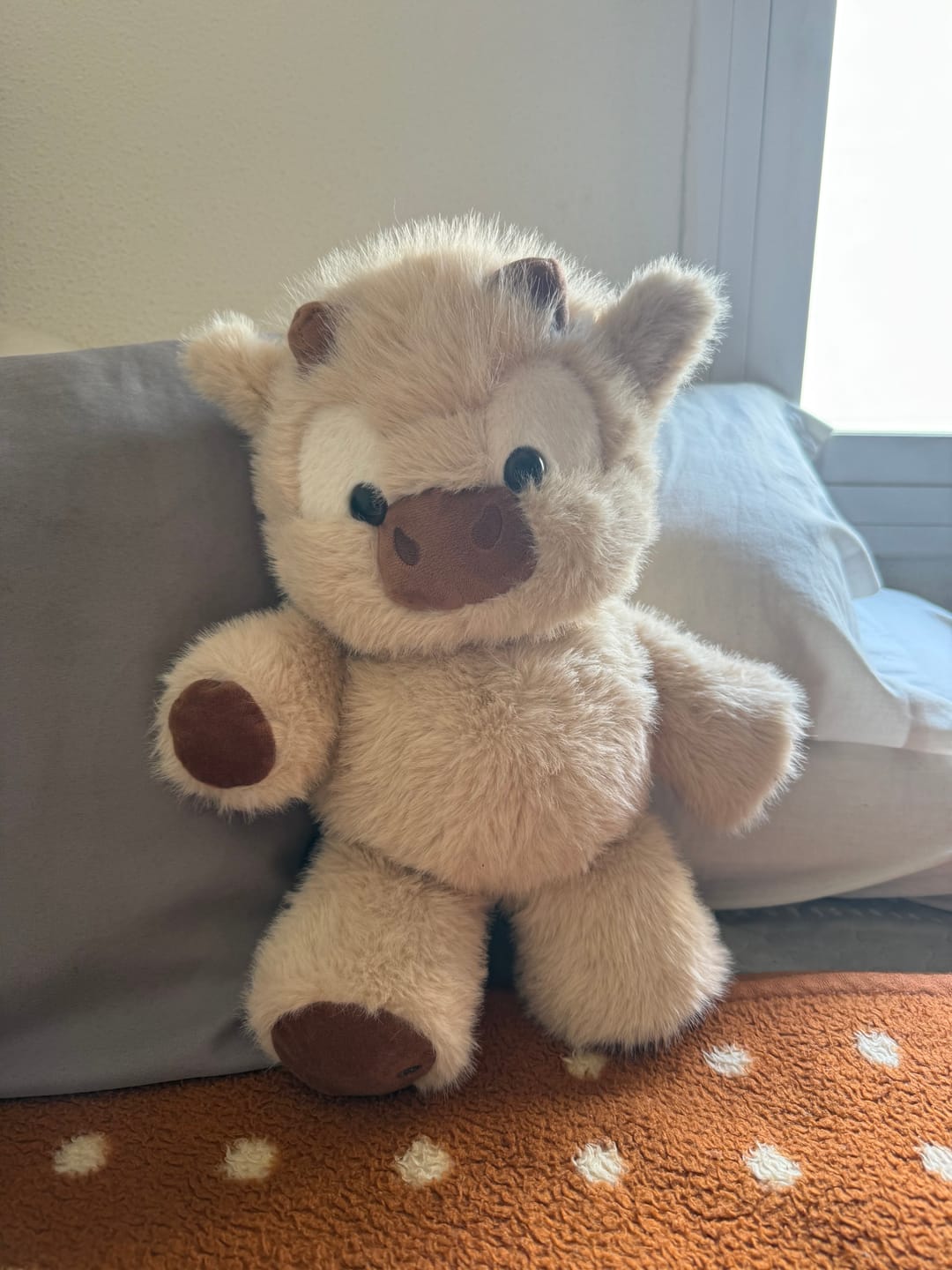 Customer photo review of Kiki & Koko los peluches que corren a tus brazos