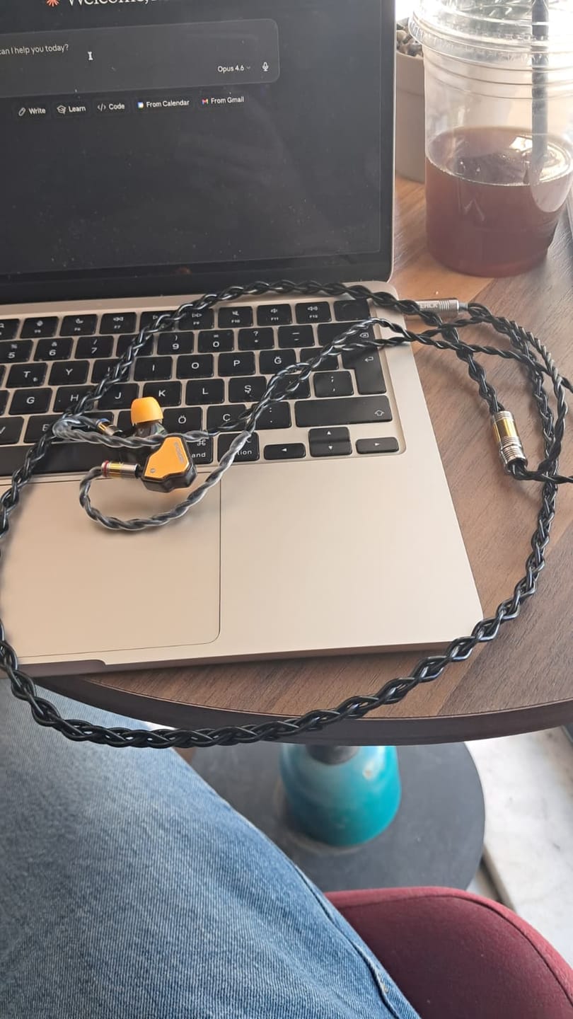 Customer photo review of NICEHCK BlackCat IEM Kablo