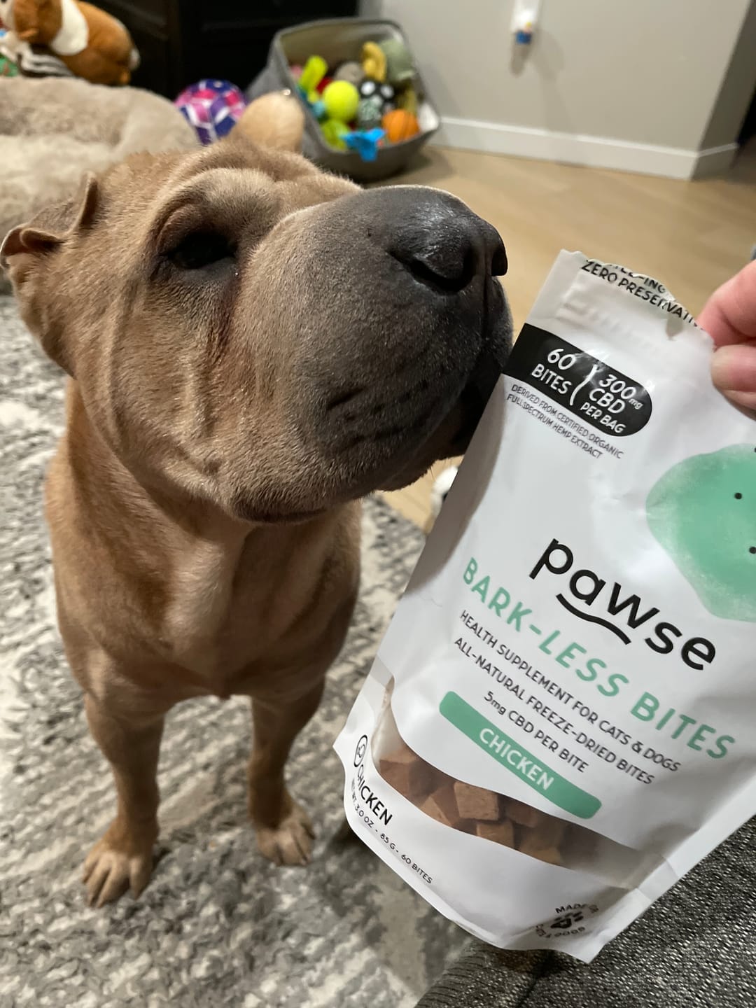 Customer photo review of Bark-Less Bites