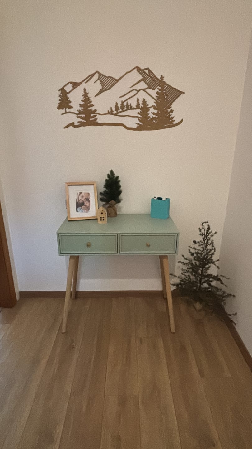 Customer photo review of NISHIO - Console 2 tiroirs en bois coloris vert menthe