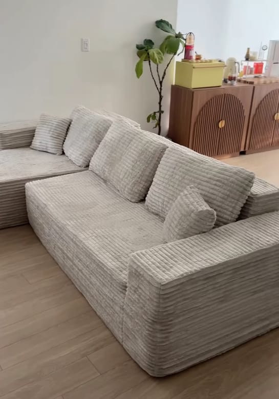 Customer photo review of Astra Sleeper Sectional Sofa