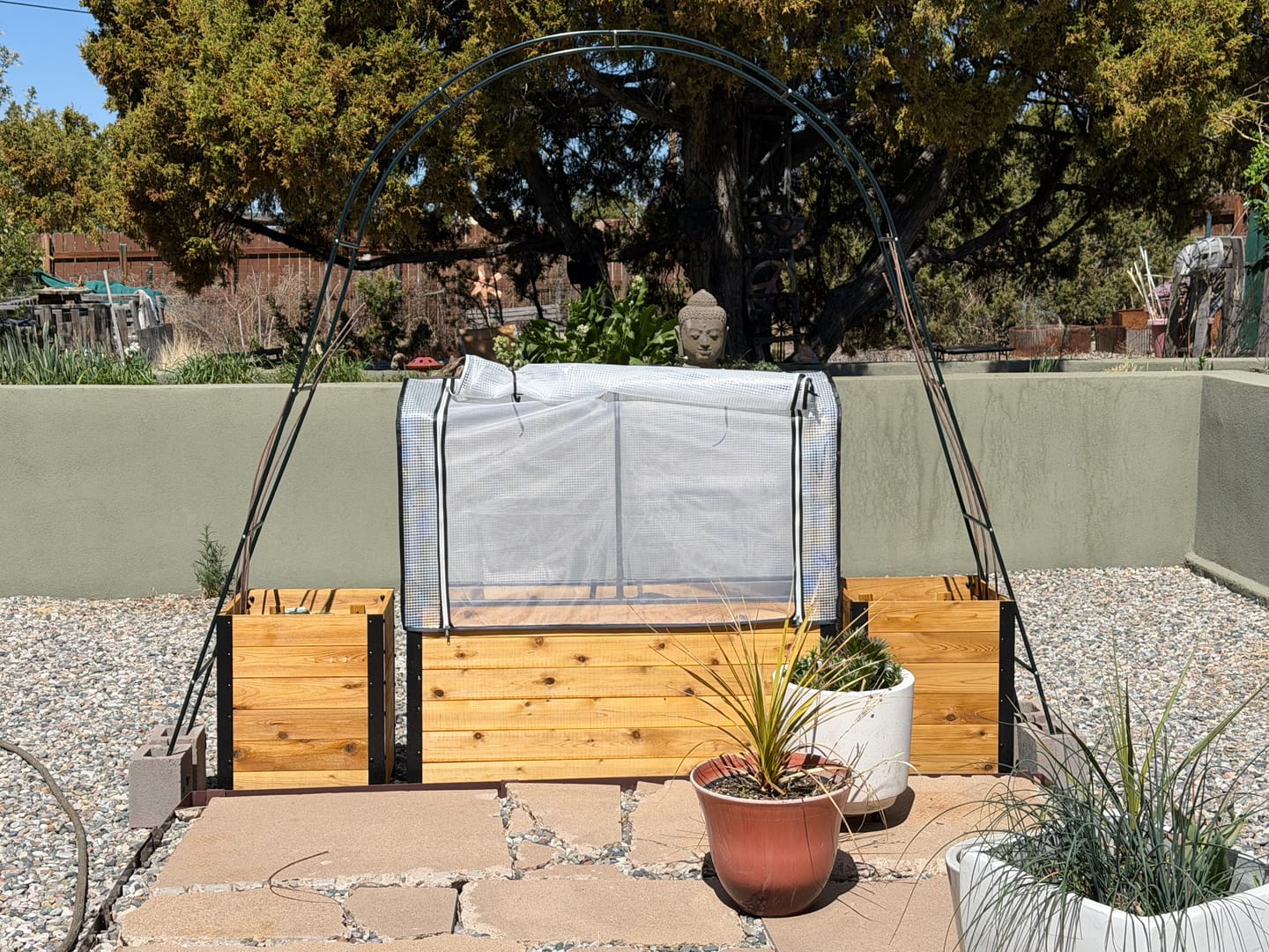 Customer photo review of Greenhouse Cover