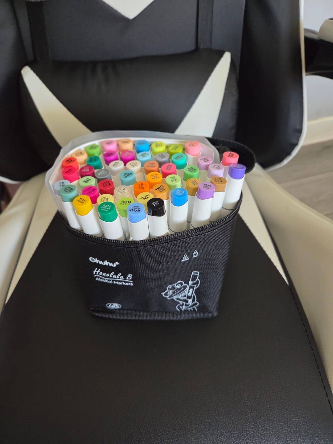 Customer photo review of Ohuhu Honolulu 48 Colors Dual Tips Alcohol Art Markers