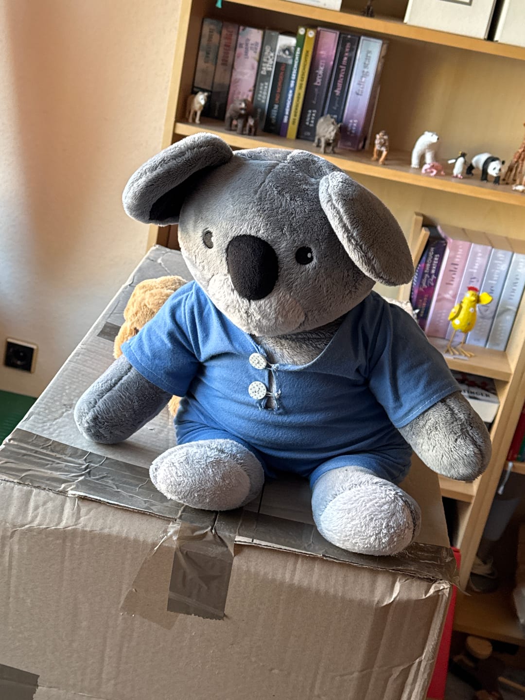 Customer photo review of Lotgenootje Koala 2kg