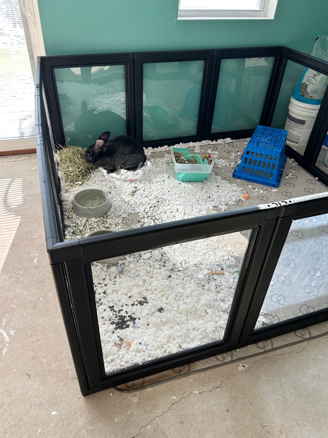 Customer photo review of AuraSpace Acrylic Indoor Dog Playpen for Small to Medium Dogs