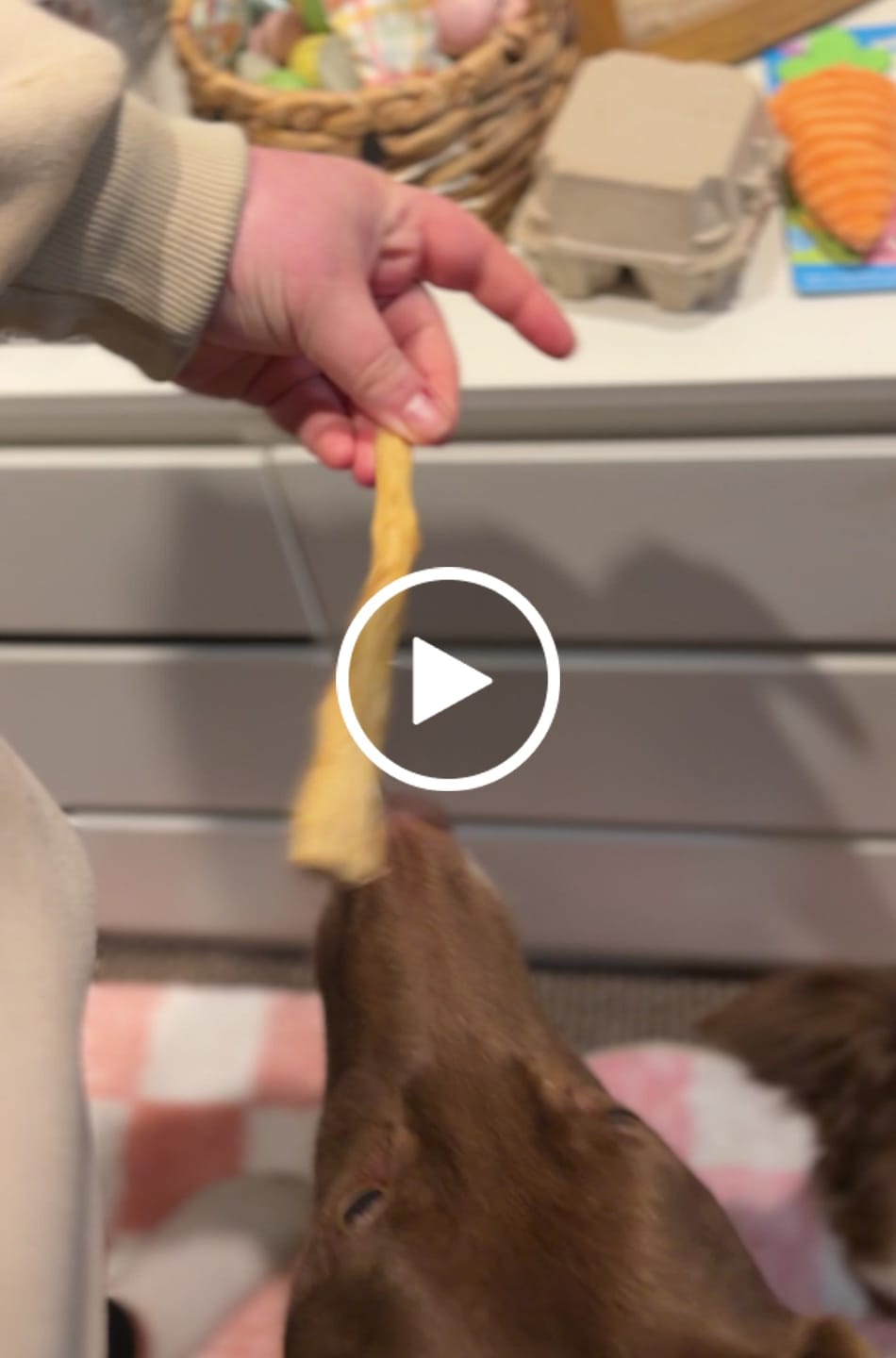 Customer video review of Lamb Tails (150g)