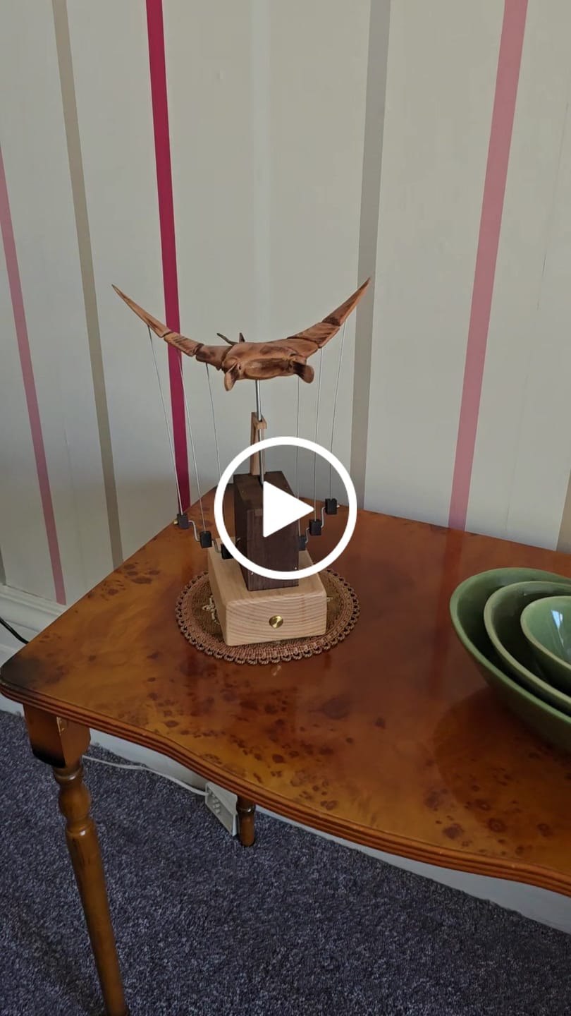 Customer video review of MarinerPoet™ Handcrafted Wooden Manta Ray Automaton