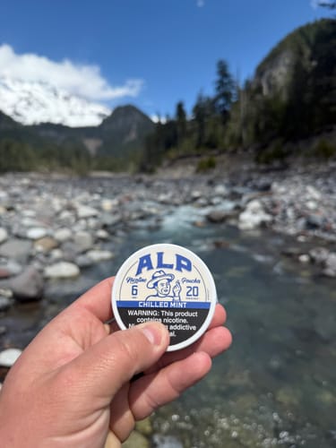 Customer's hand holding a round can of ALP Chilled Mint Nicotine Pouches in front of a rocky river and mountain scene.