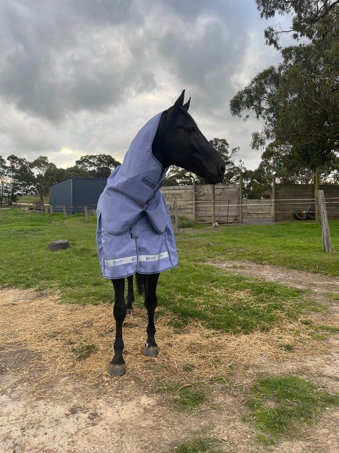 Customer photo review of LE Boxter Turnout Ripstop 50g