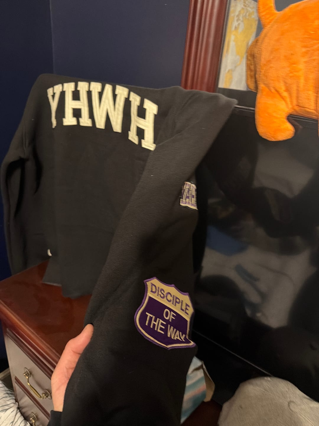 Customer photo review of YHWH Patchwork Crop Hoodie