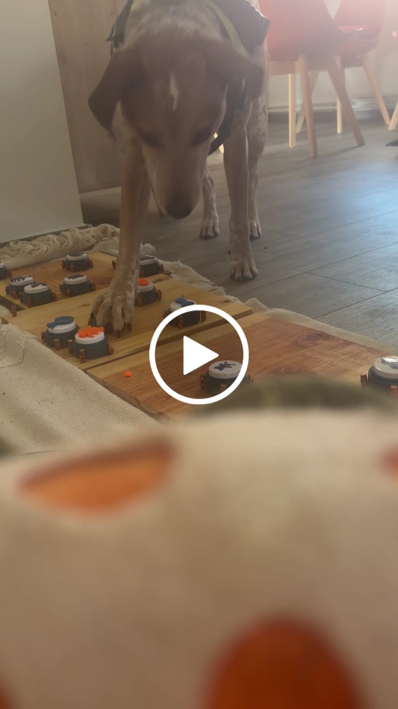 Customer video review of Key Vocab Kit (Gen 1).