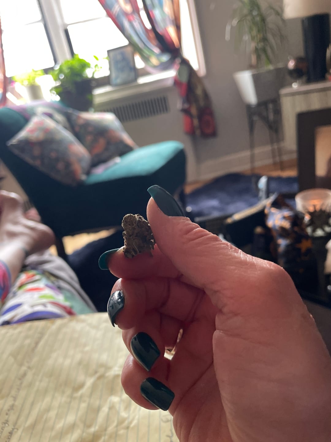 Customer photo review of Blue Dream - Minis - 28 Grams - Sativa