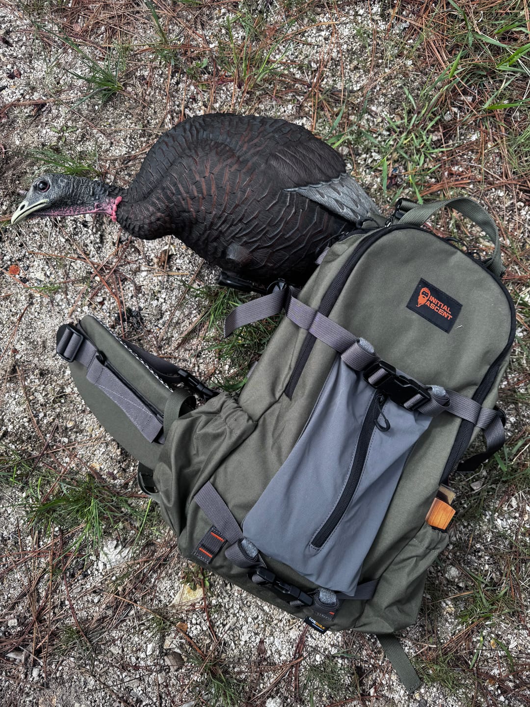 Customer photo review of The Scout