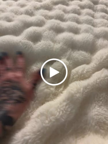 Customer video review of Cloud Throw Blanket