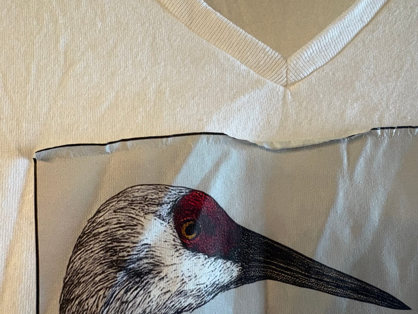 Customer photo review of Wild Cranes Must Be Protected Lady V-neck