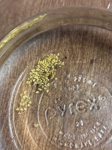 Customer photo review of Nugget Reserve 'MUSEUM SPECIMEN CHASE' - Gold Panning Paydirt Concentrate