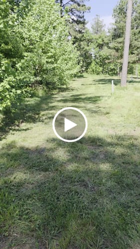 Customer video review of Hybrid Chestnut