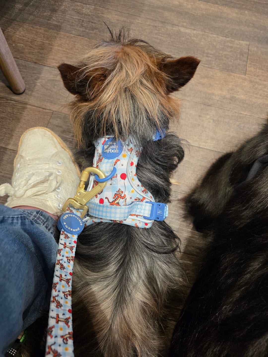 Customer photo review of Disney© Tough Trails™ Harness - Tigger