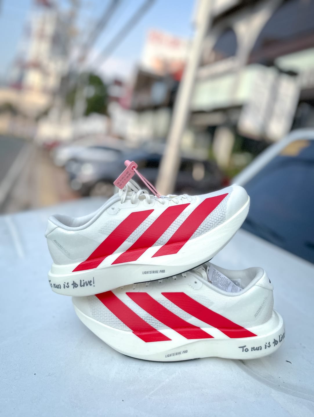 Customer photo review of Adidas Adizero EVO SL Off White Better Scarlet Men's