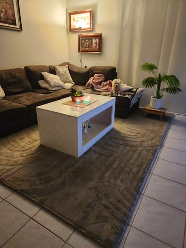 A reviewer's Mocha Mellow Mat shown in a living room, with their dog relaxing on the sofa.