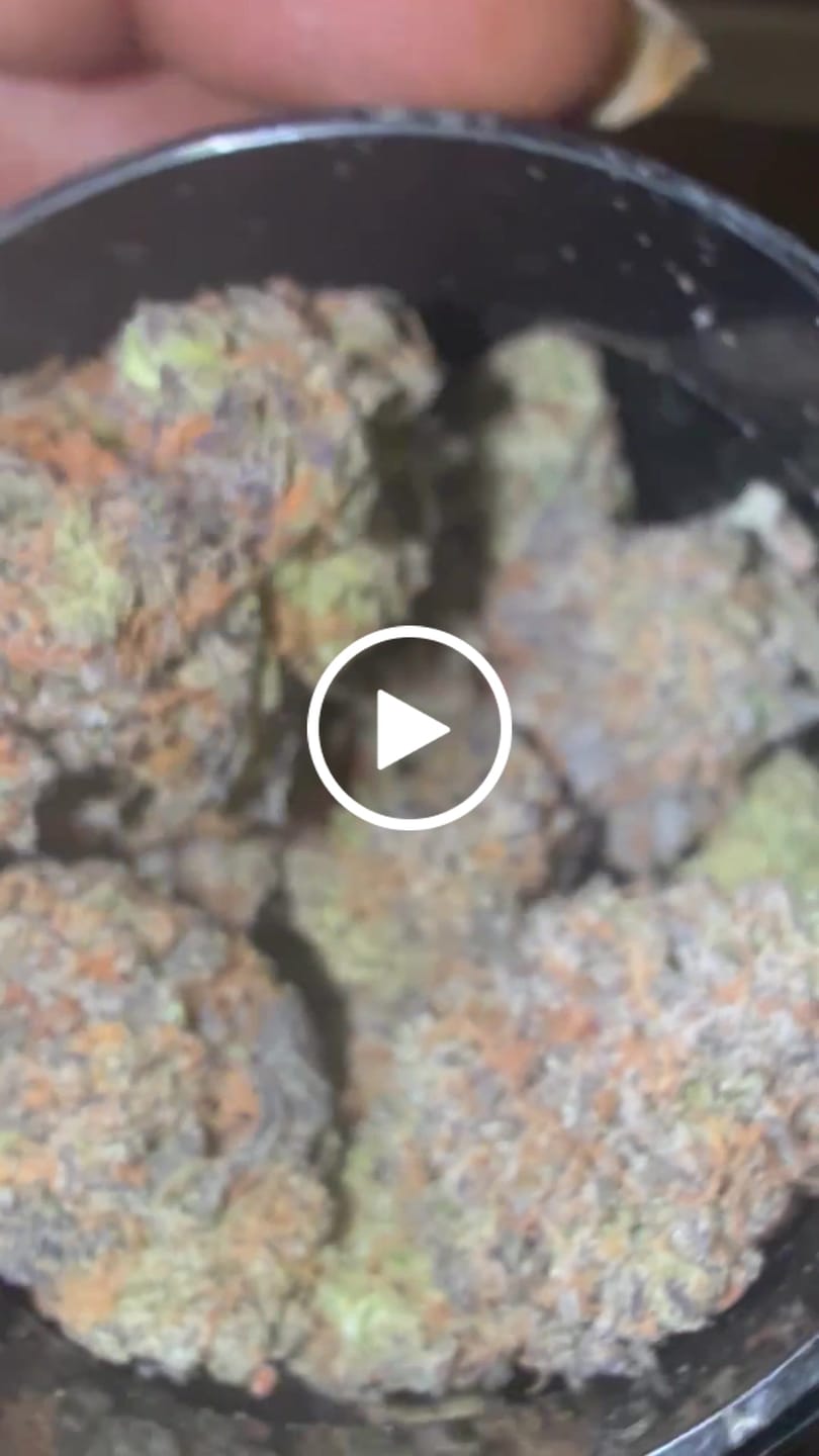 Customer video review of Platinum Bubba Indoor - Bulk - Indica