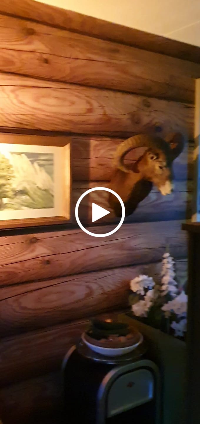 Customer video review of ENDLESS Wandlamp