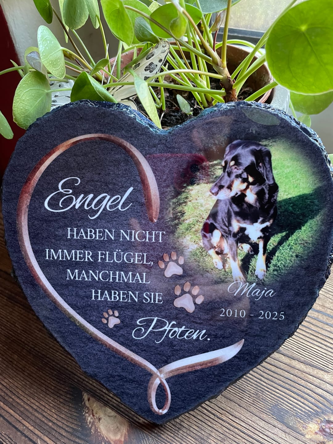 Customer photo review of Personalisiertes Schieferherz - Engel haben Pfoten