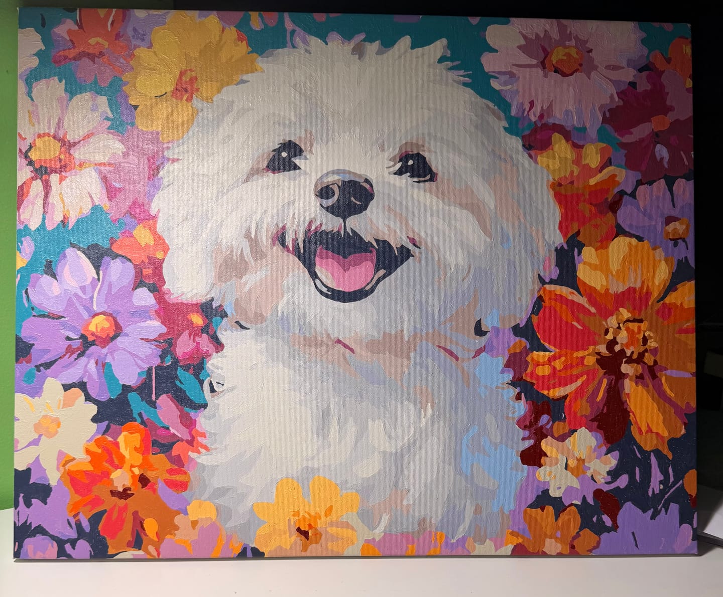 Customer photo review of Bichon Frise
